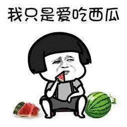 娱乐吃瓜酱见多了同行